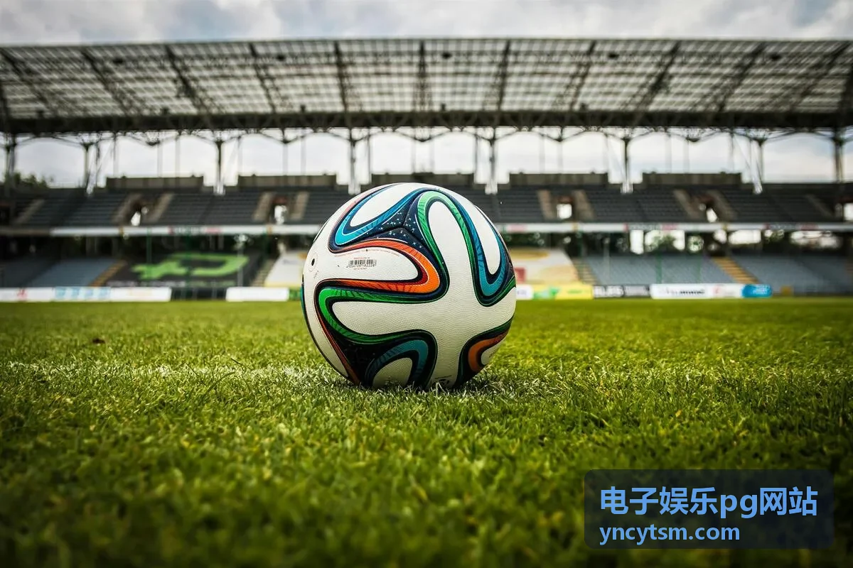 电子娱乐pg网站场地运营支持现场分区示意
