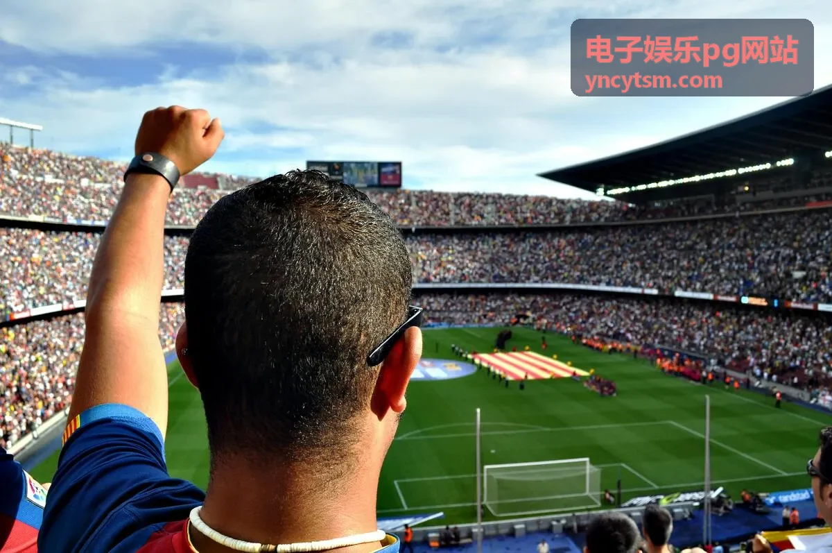 电子娱乐pg网站休闲区机型选型案例